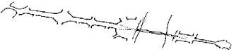 schema del legame tra il ponte e le  piazze Chiaves e Carrara