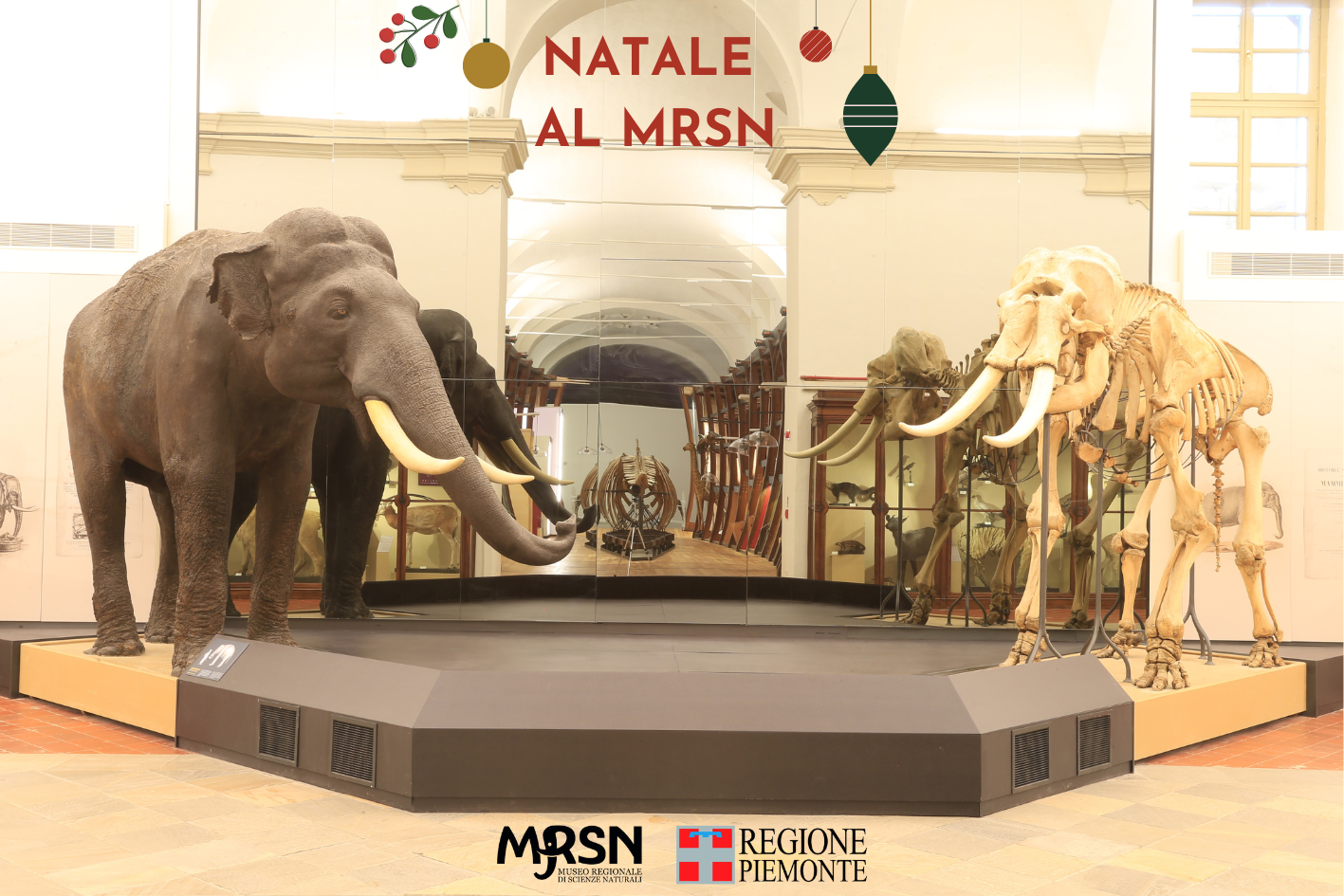 Natale al Museo Regionale di Scienze Naturali di Torino