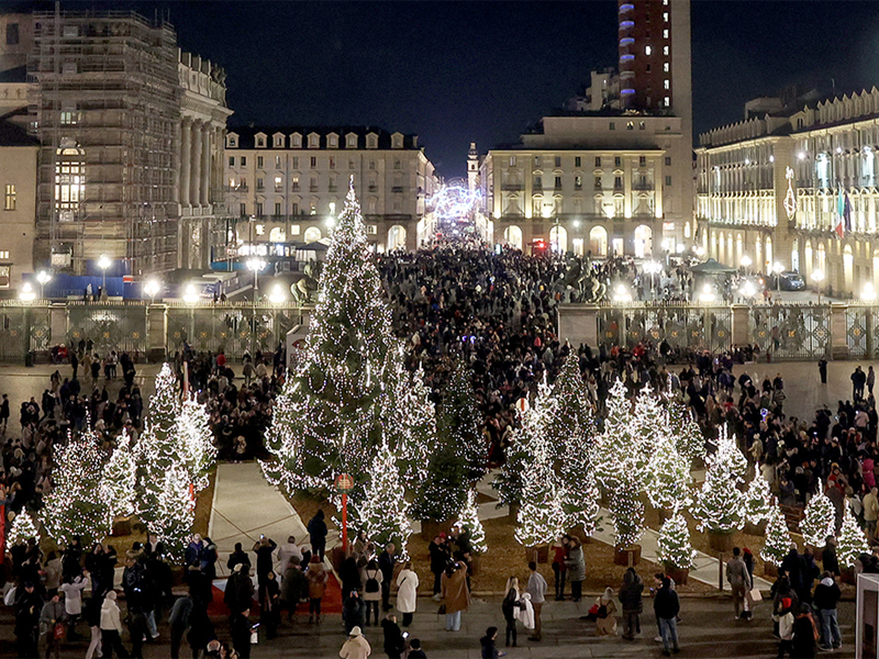 Boschetto di Natale