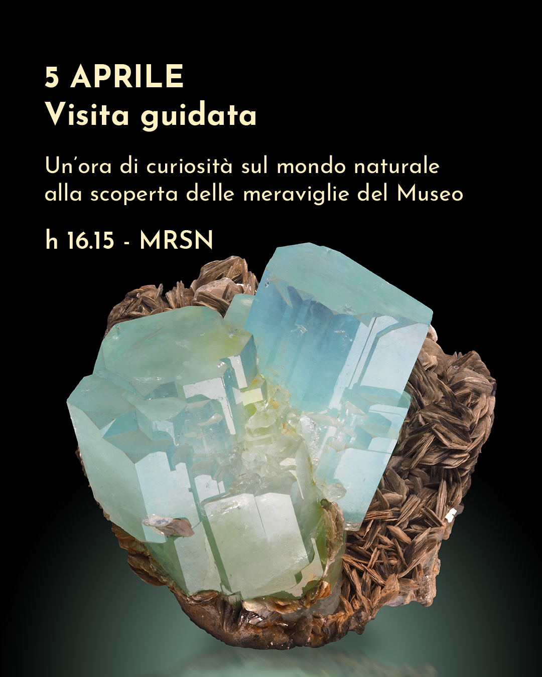 Visita guidata nelle sale